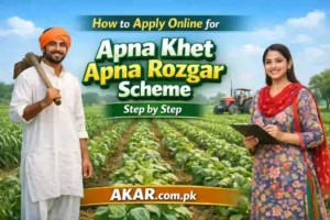 How to Apply Online for CM Punajb Apna Khet Apna Rozgar Scheme Step by Step