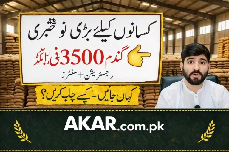 Punjab Wheat Rate 2026 – Govt Fixes Price at 3500 Per Maund